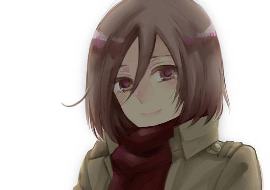 《进击的巨人》三笠·阿克曼图集(7)