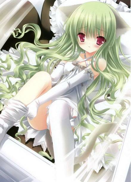 二次元白丝美少女美图赏（10）