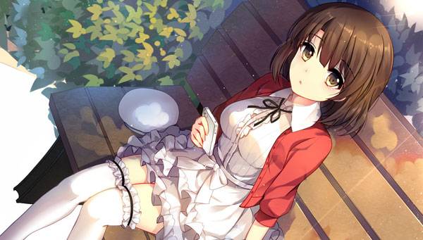 《路人女主的养成方法》美少女图集（11）