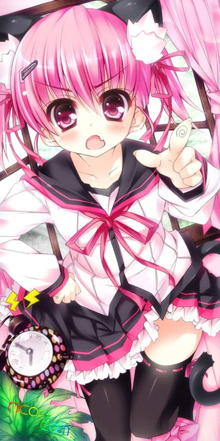 二次元兽耳美少女第八弹（8）