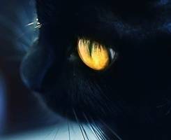 一男一女情侣卡通漫画微信头像