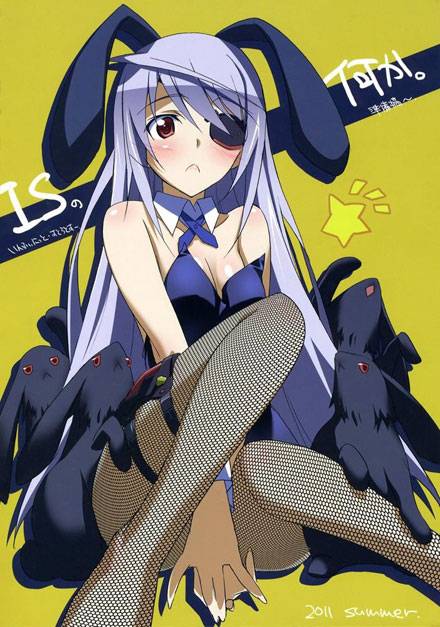 二次元兔女郎美少女美图赏三（ 5）