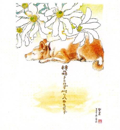 花の诗 -星野富弘画作