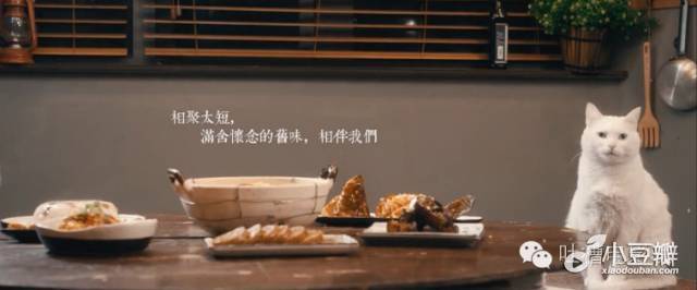 9部高分良心剧 (41)