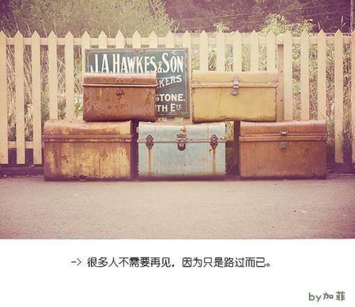 爱情小清新句子配图