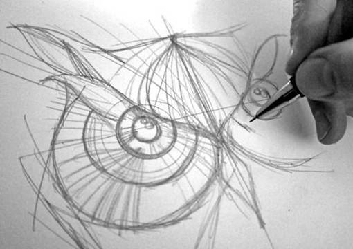 插画师Greg Coulton的手绘猫头鹰唯美单色插画图片