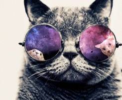 甜美清新的情侣头像图片