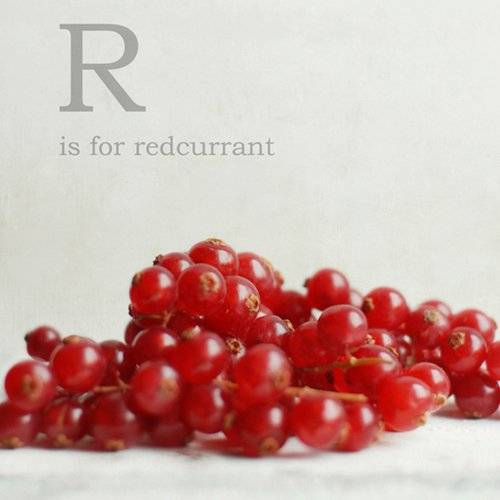 水果和英文字母