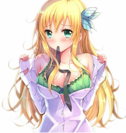 二次元诱惑美女动漫美女图集(11)