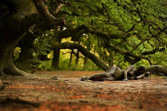 隐藏的彩绘少女：令人震惊的伪装人体艺术[24P]