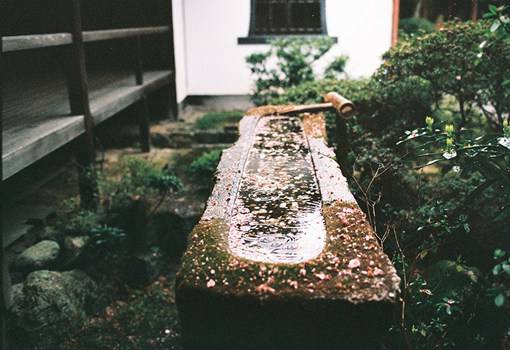 小确幸感十足的日本街拍唯美风光图片