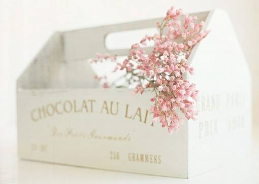 白色满天星小清新图片