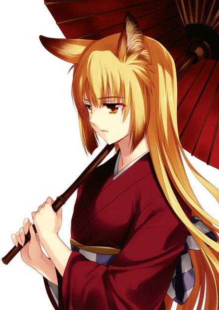 二次元兽耳美少女第七弹(4)