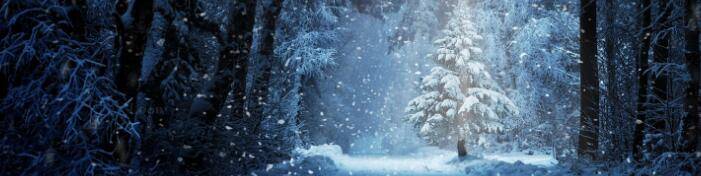 QQ截图20160809132209