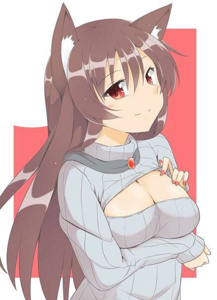 二次元高领开胸毛衣美少女美图二（13）