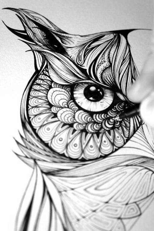 插画师Greg Coulton的手绘猫头鹰唯美单色插画图片