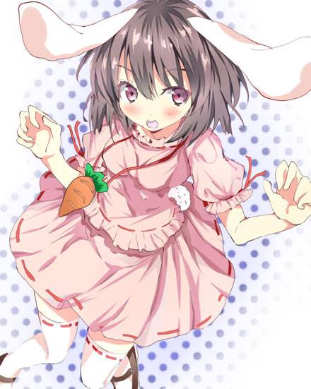 妖怪兔因幡帝图集(6)