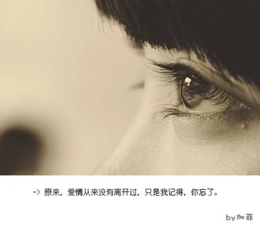 爱情小清新句子配图