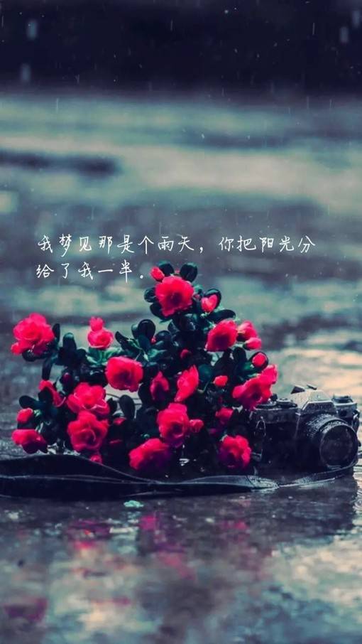 唯美小清新图片带字的说说配图素材