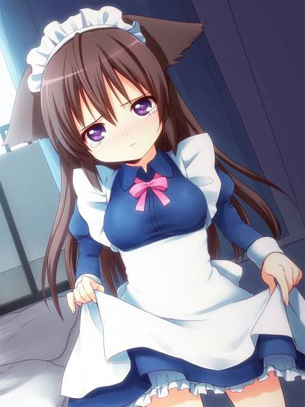 二次元兽耳美少女第十一弹（2）