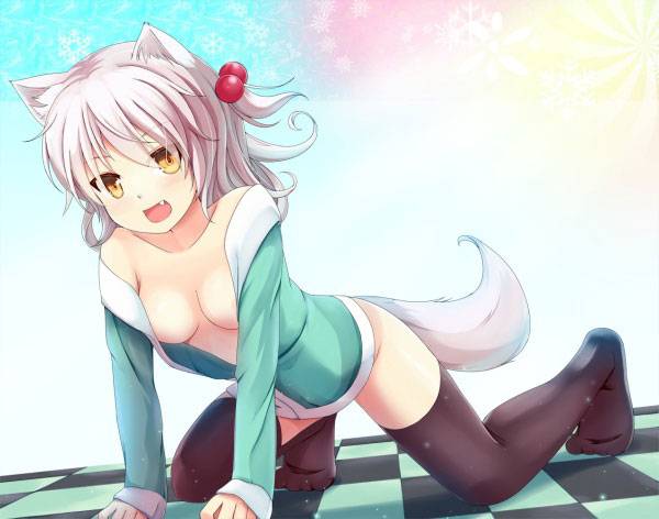 二次元兽耳美少女第五弹（12）