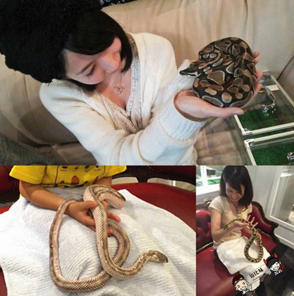 Snake Center (2)