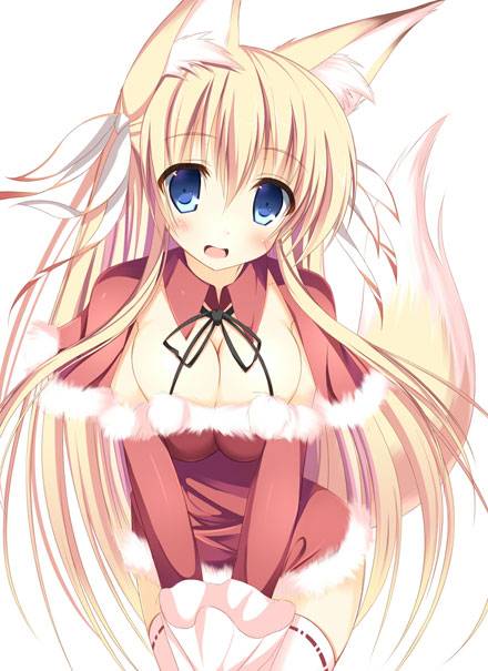 二次元兽耳美少女第十一弹（5）