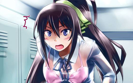 《Infinite Stratos》篠之之箒美图片写真集大全(14)