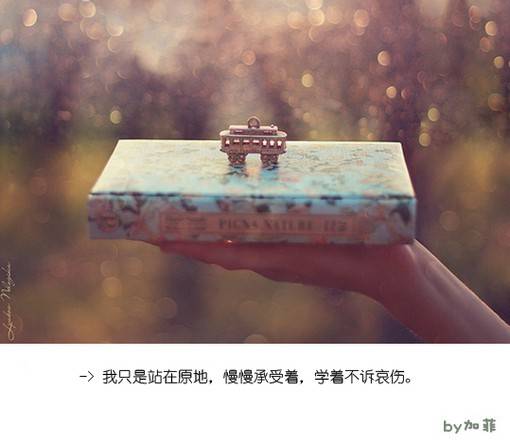 爱情小清新句子配图