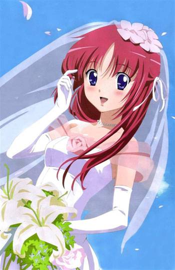 动漫婚纱少女图集（2）