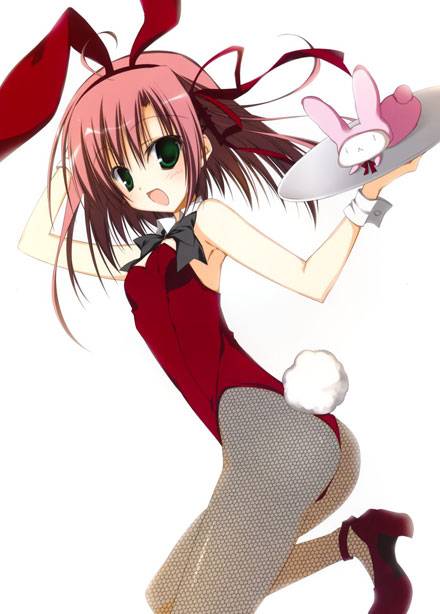 二次元兔女郎美少女美图赏一（9）