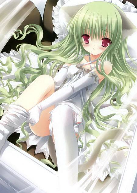 二次元萌妹白丝诱惑美图（8）