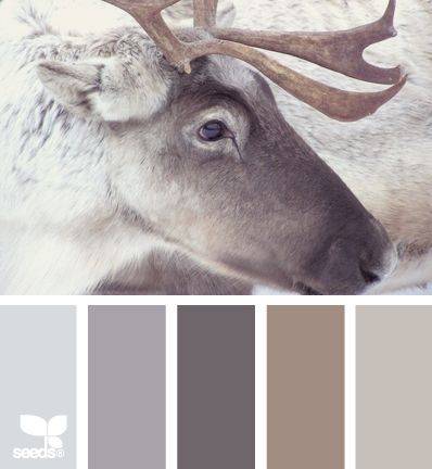 让人很舒服的柔和的灰色系配色方案推荐