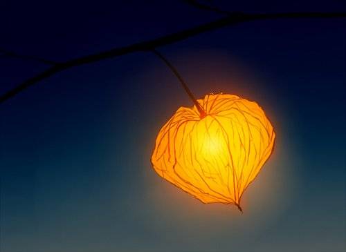 p站唯美场景插画