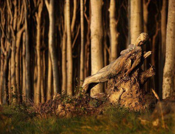 隐藏的彩绘少女：令人震惊的伪装人体艺术[24P]