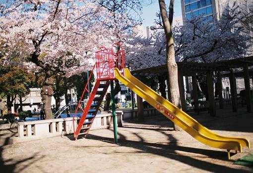 小确幸感十足的日本街拍唯美风光图片