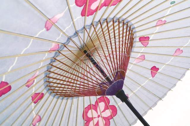 《灰姑娘女孩和纸伞》不敢相信是动漫商品的精美度 - 图片4