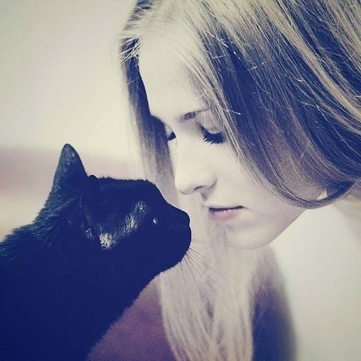 欧美女生与黑色猫咪图片