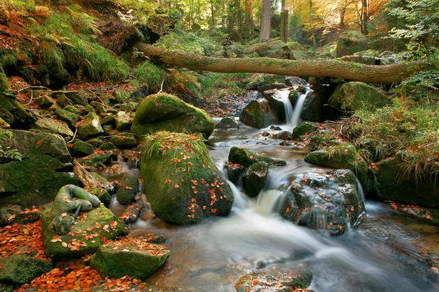 隐藏的彩绘少女：令人震惊的伪装人体艺术[24P]