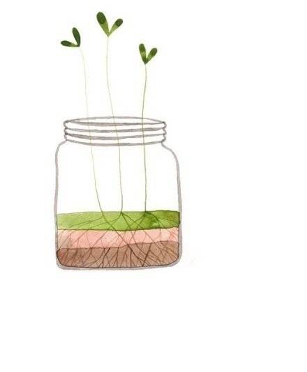 玻璃瓶子插画图片