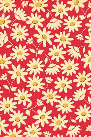 10张小清新平铺素材