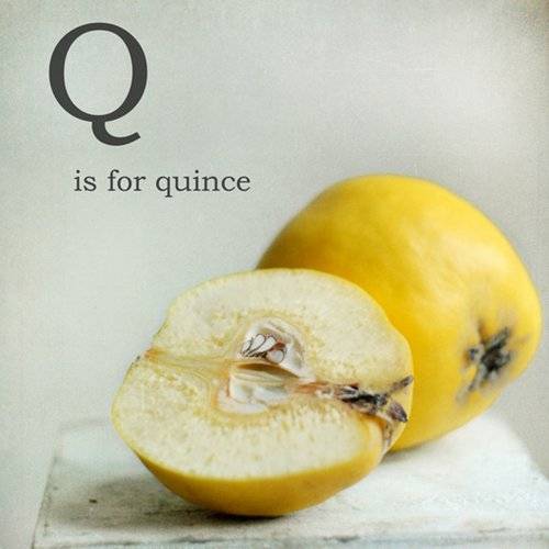 水果和英文字母