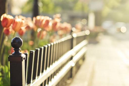 很阳光很治愈系的小清新场景唯美图片