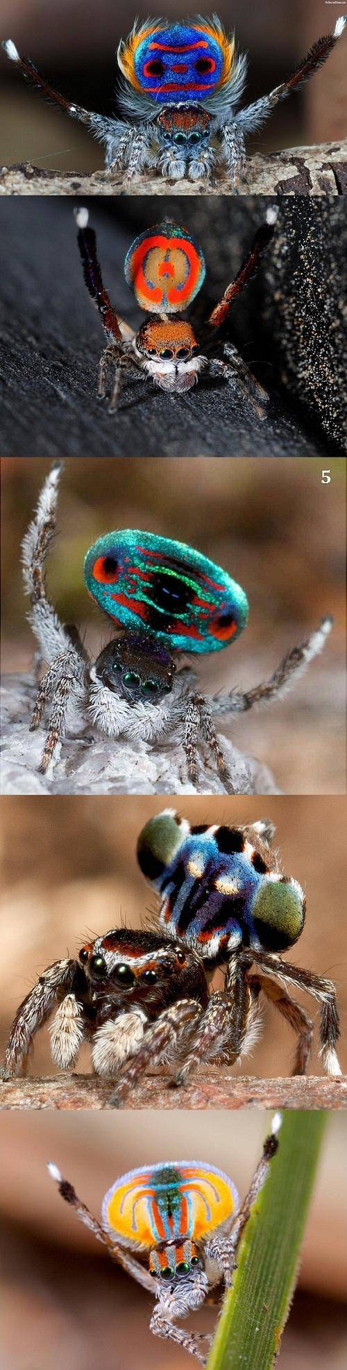 无聊一刻：左边和右边，你更喜欢哪一个呢？