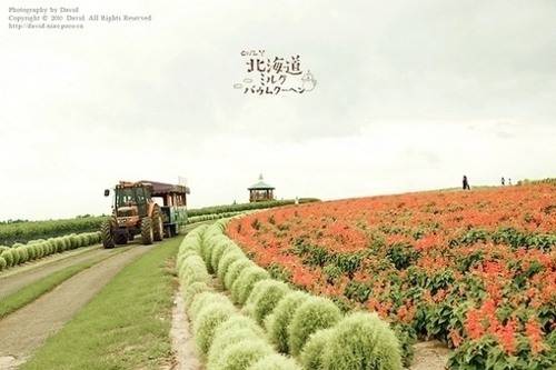 日系小清新图片