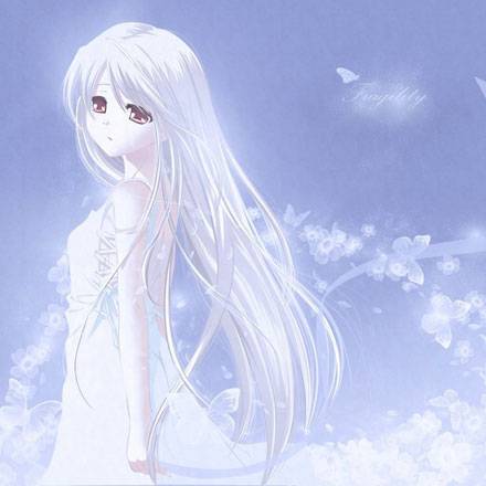 《白色透明》动漫美少女图片写真集大全(6)