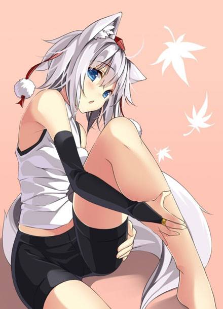 二次元兽耳美少女第六弹(4)