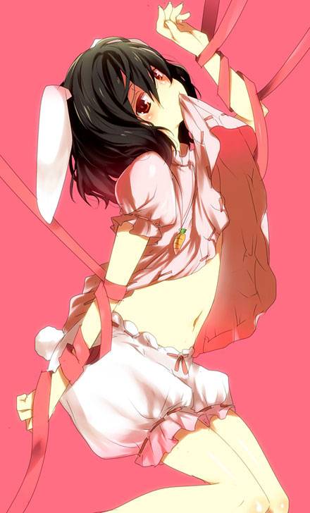 妖怪兔因幡帝图集(10)