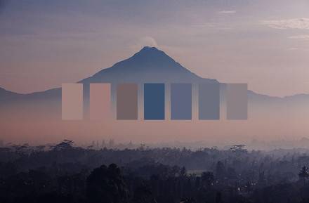 大自然告诉你哪些是舒服的配色方案