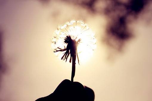 正能量日系美图